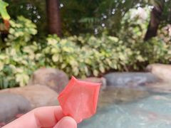 -厦门日月谷温泉渡假村