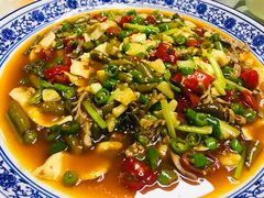 -新蜀会四川豆花(五羊店)