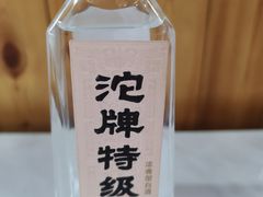 -桃源村铁锅炖鱼(体育馆道店)