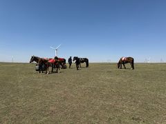-内蒙古众诚旅行社有限公司