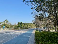 -深圳湾公园(南山区)