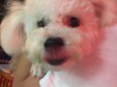 -嘉善路(地铁站)