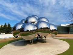 -金泽21世纪美术馆