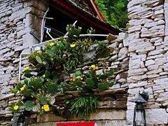 -高荡千年布依古寨旅游景区