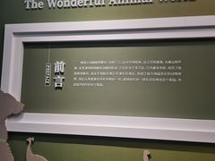 -国家自然博物馆