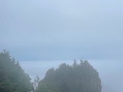 -牛背梁国家森林公园