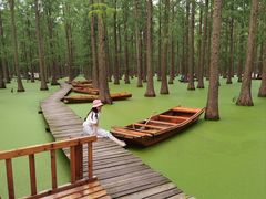 -渌洋湖湿地公园