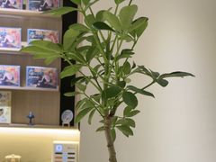 -长风拨筋养身(天街店)