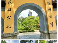 -红梅公园
