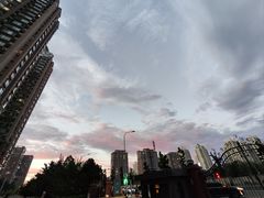 -眉州东坡(民族园店)