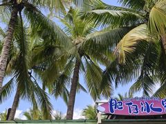 -海南分界洲岛旅游区