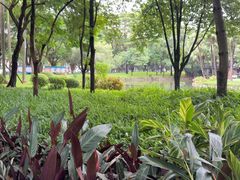 -晓港公园