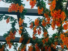 -新疆国际大巴扎