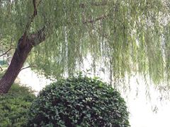 iphone_upload_pic-紫荆山公园