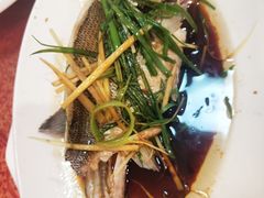 清蒸海鲈鱼-化州大众美食城(宝安老牌店)