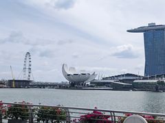 -新加坡宏仁堂御膳厅