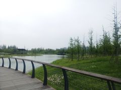 -海宁鹃湖公园