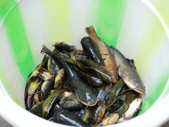 -谭记石锅鱼府(三道堰店)
