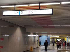 -大龙山(地铁站)