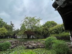 -上海醉白池公园