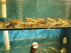 水产区-Thai Basil罗勒叶泰式餐厅(时代天街店)