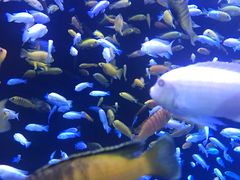 -成都浩海立方海洋公园