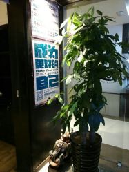 -YASAKI国际舞蹈中心