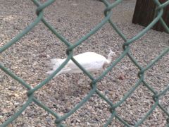 -南京金牛湖风景区