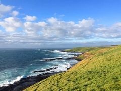 Phillip Island-企鹅岛
