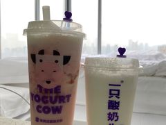 -一只酸奶牛(八一路店)