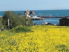-青海湖国家重点风景名胜区