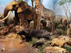 -陕西自然博物馆