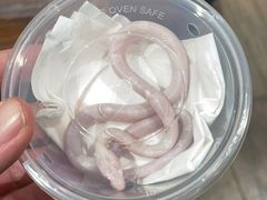 -酷以爬仙阁实体爬宠店·守宫·蜥蜴·专业繁育