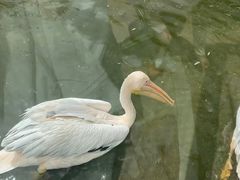 -沈阳鸟岛