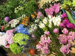 -双季花艺园艺市场(浦东店)