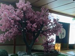 -汤泉良子(马连道店)