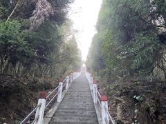 -江西阳明山国家森林公园