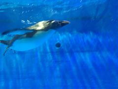 -华夏文旅西安度假区