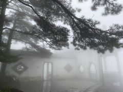 -庐山风景区花径公园