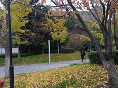 -玉山公园