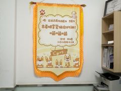 -宠福鑫康馨动物医院·骨科·眼科