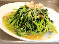 -天伦松鹤大饭店·欣妮咖啡