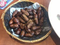 -东北人粗粮饺子坊(南山店)