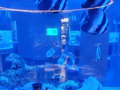 -上和臻品中国菜(花园街店)