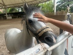 -J Create城市露营咖啡·简餐·宠物(上海动物园店)