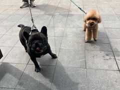 -心仪动物医院·牙专科·肿瘤·心脏科(西客站院)