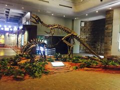 -自贡恐龙博物馆