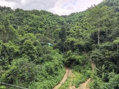 -西双版纳原始森林公园
