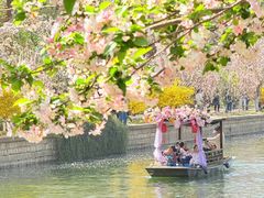 -元大都城垣遗址公园