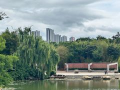 -洛龙公园